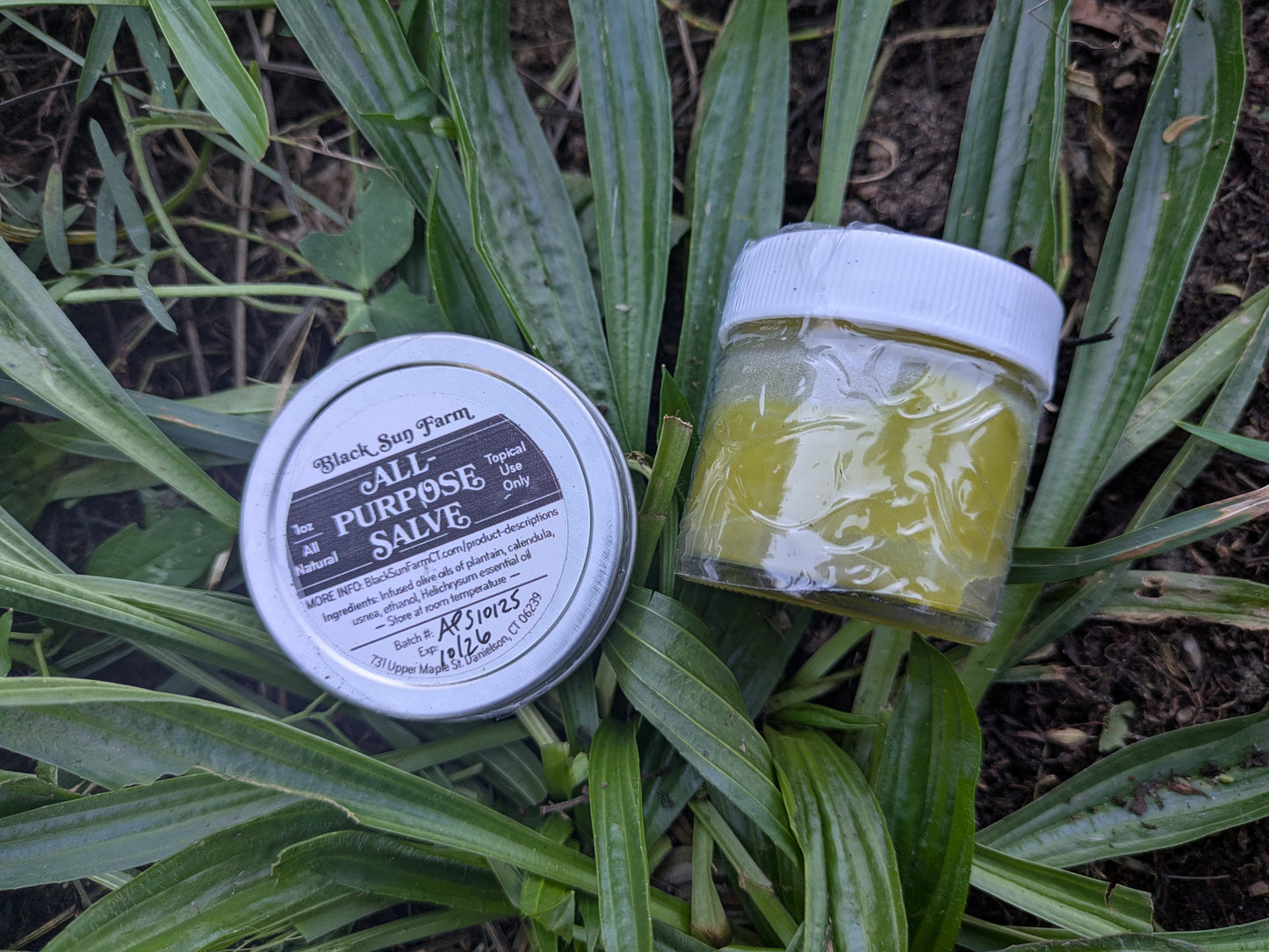 All Purpose Salve Glass