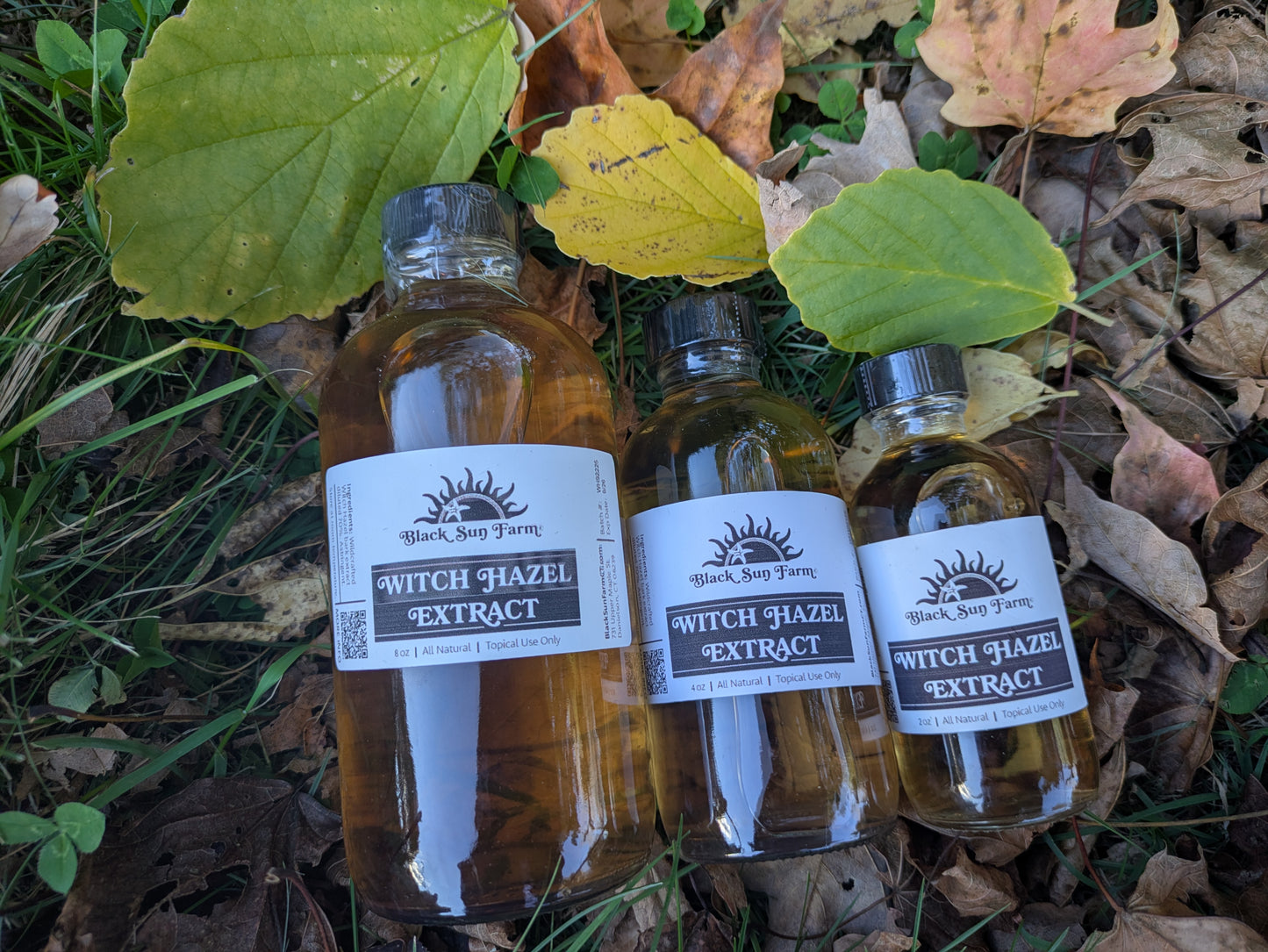 Wildcrafted Witch Hazel Extract
