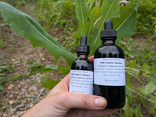 Wild Lettuce Tincture