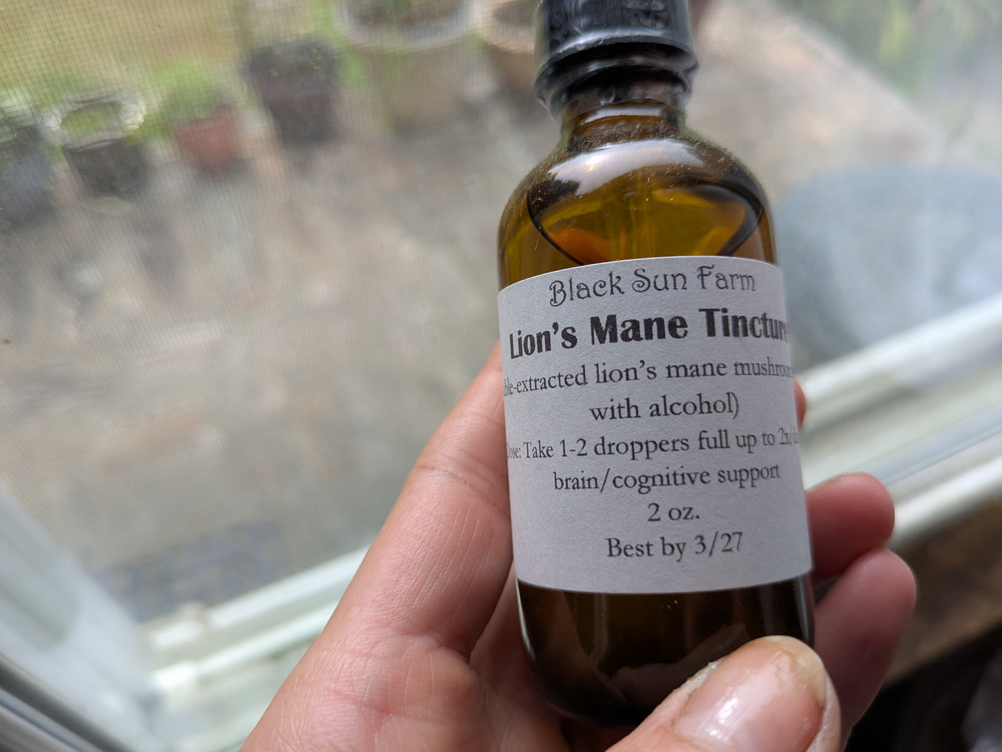 Lions Mane Tincture
