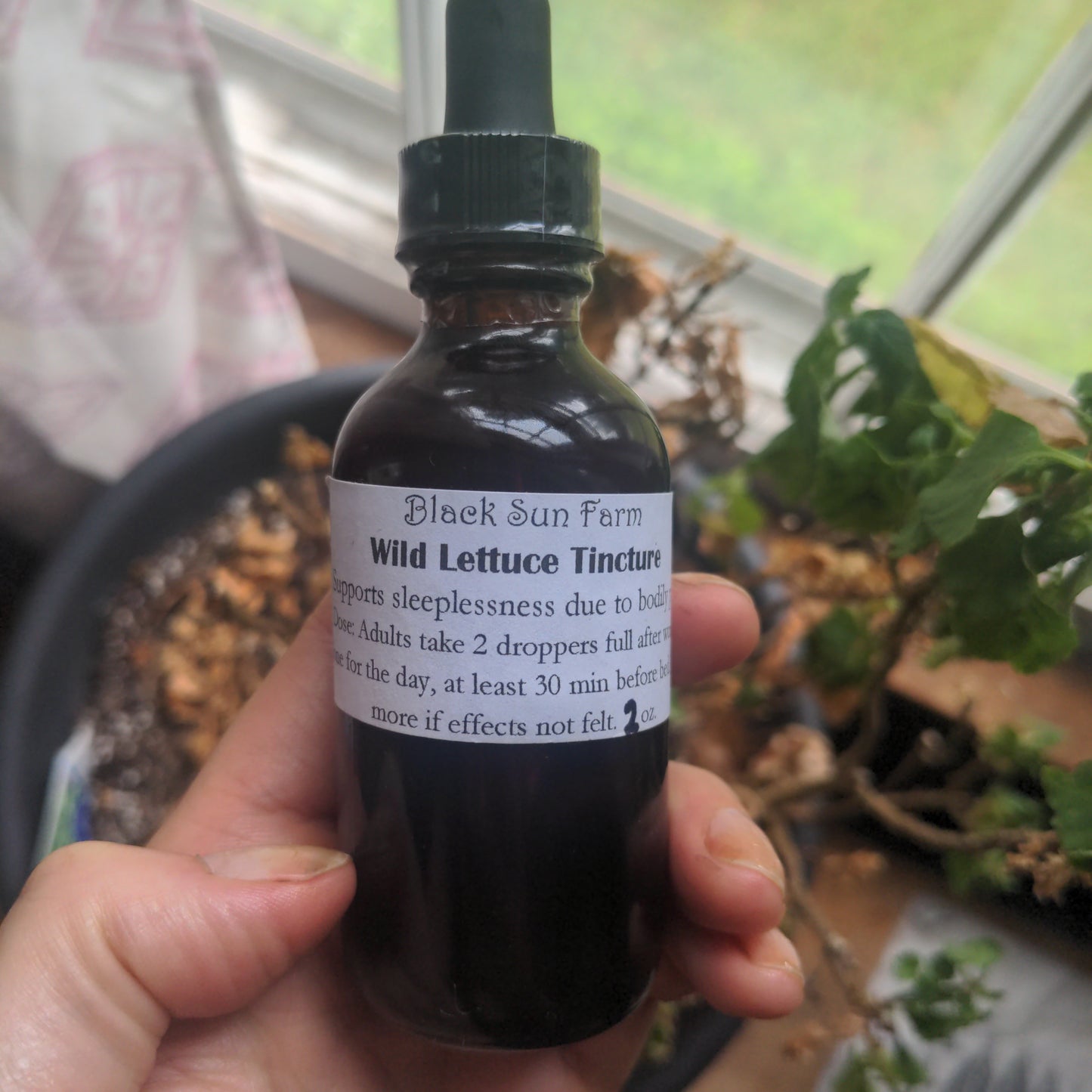 Wild Lettuce Tincture