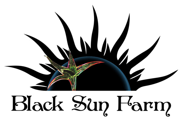 Black Sun Farm
