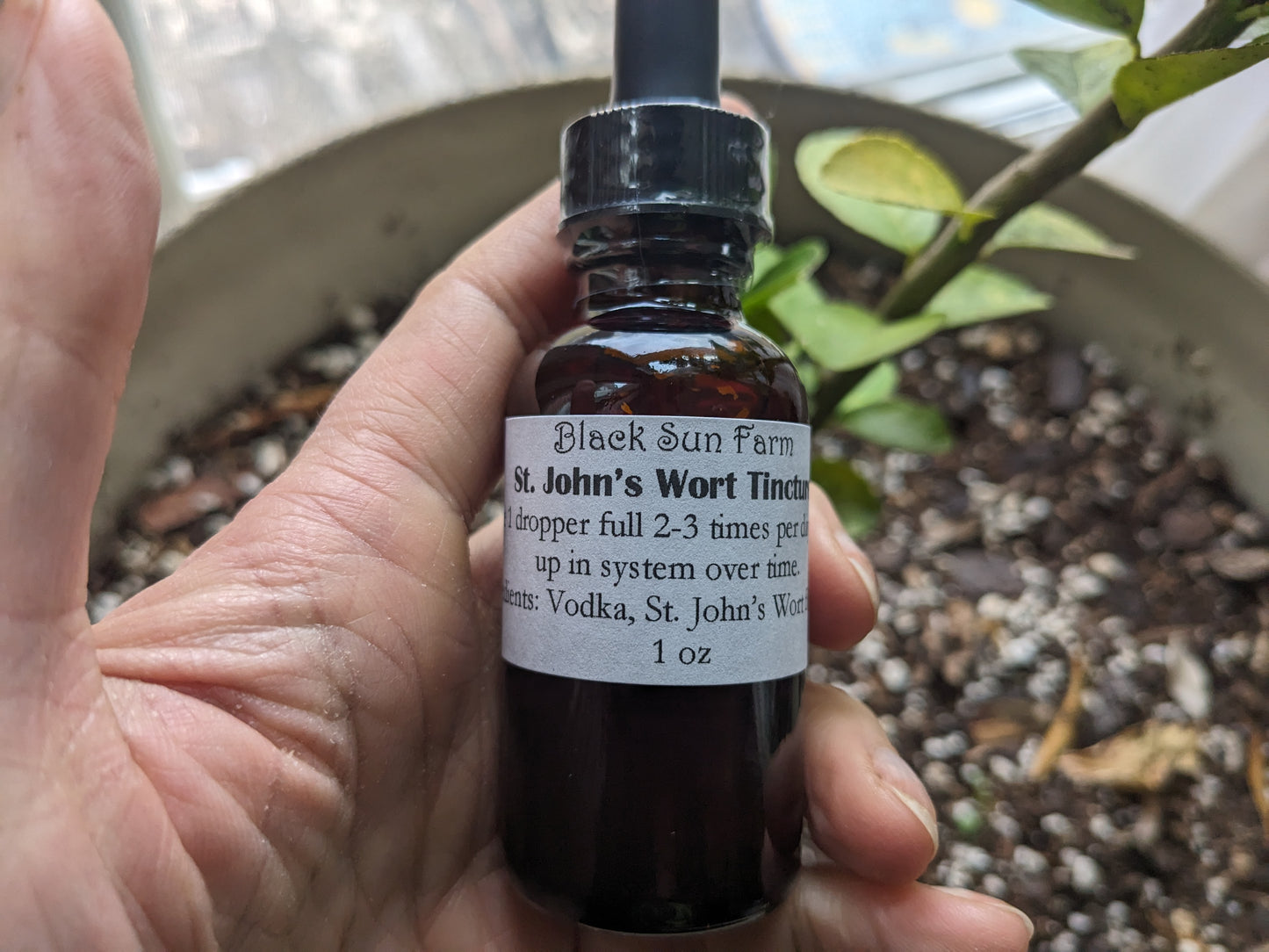 St. John's Wort Tincture