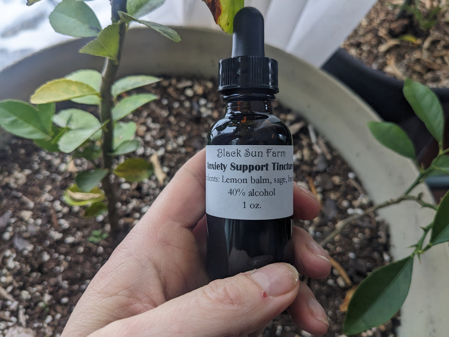 Anxiety Tincture