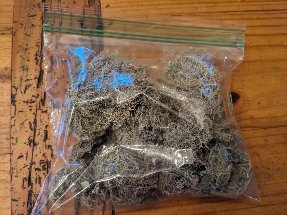 Dried Usnea – Black Sun Farm