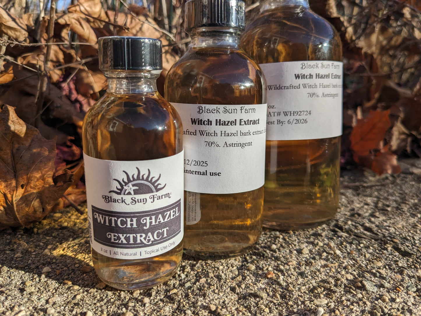 Wildcrafted Witch Hazel Extract