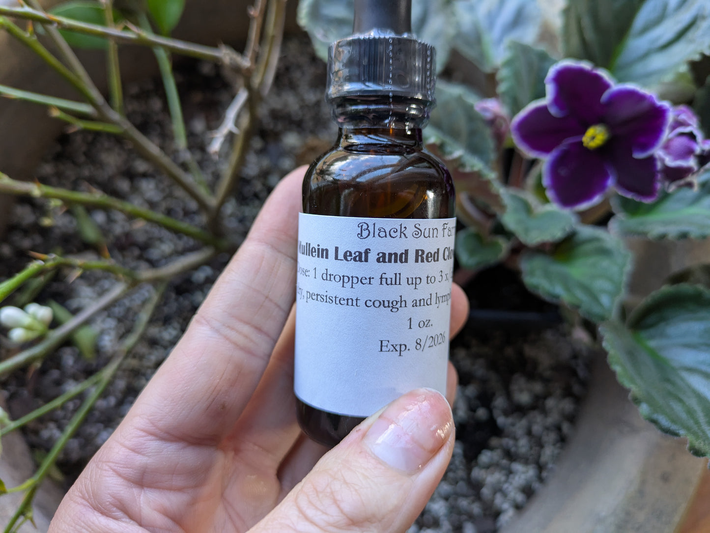 Mullein leaf and Red Clover Tincture