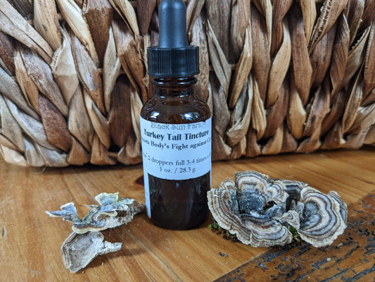 Turkey Tail Tincture