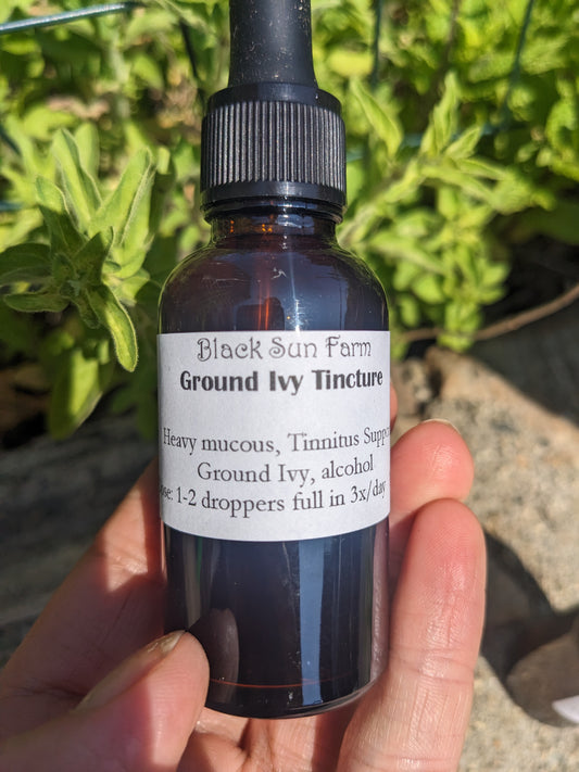 Ground Ivy Tincture