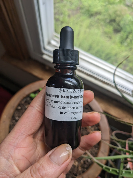 Japanese Knotweed Root Tincture
