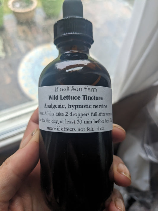 Wild Lettuce Tincture EXTRA BIG