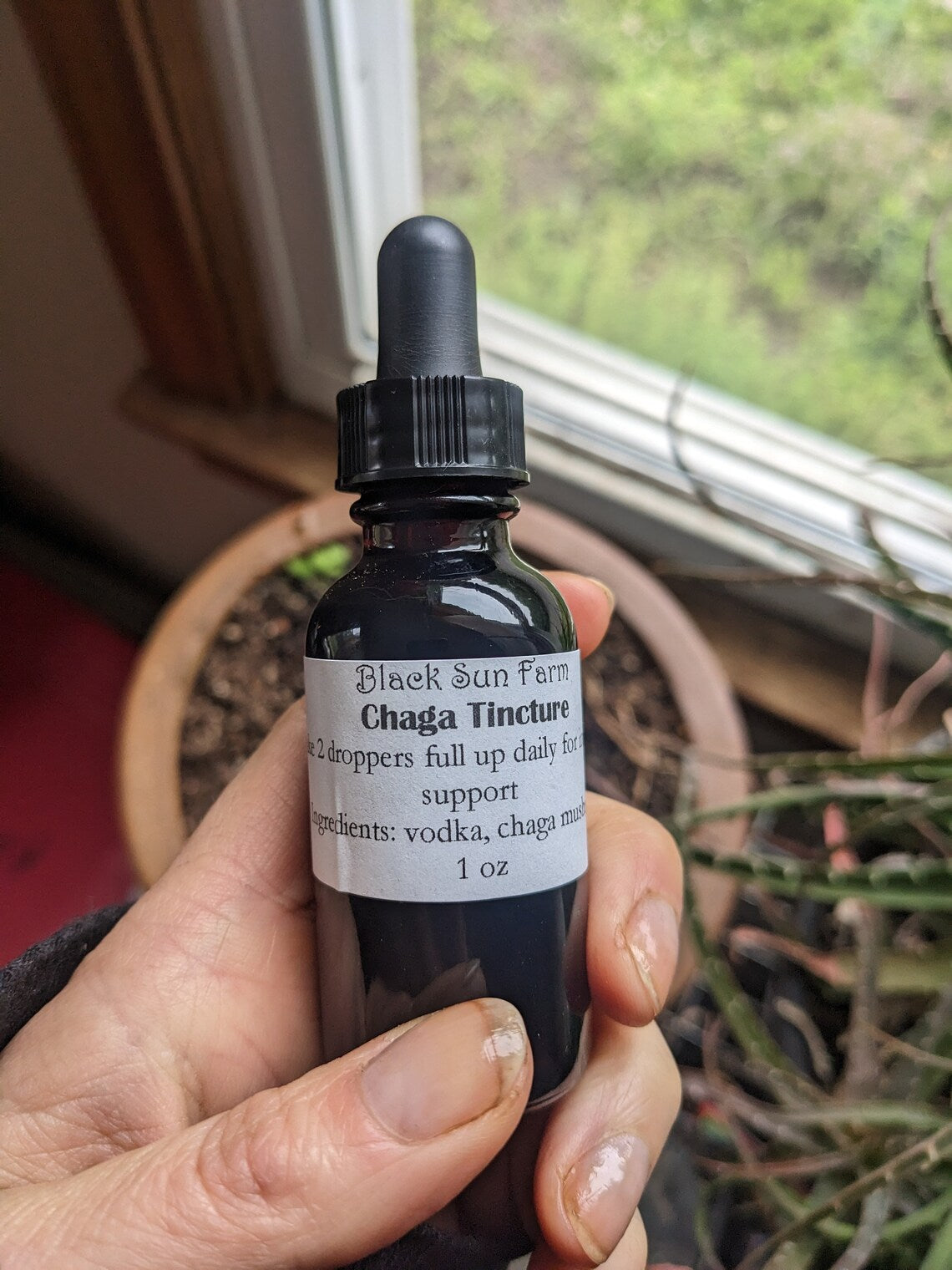 Chaga Tincture