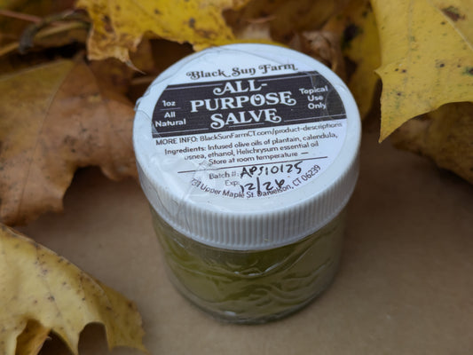 All Purpose Salve Glass