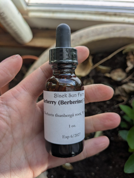Barberry Root Tincture